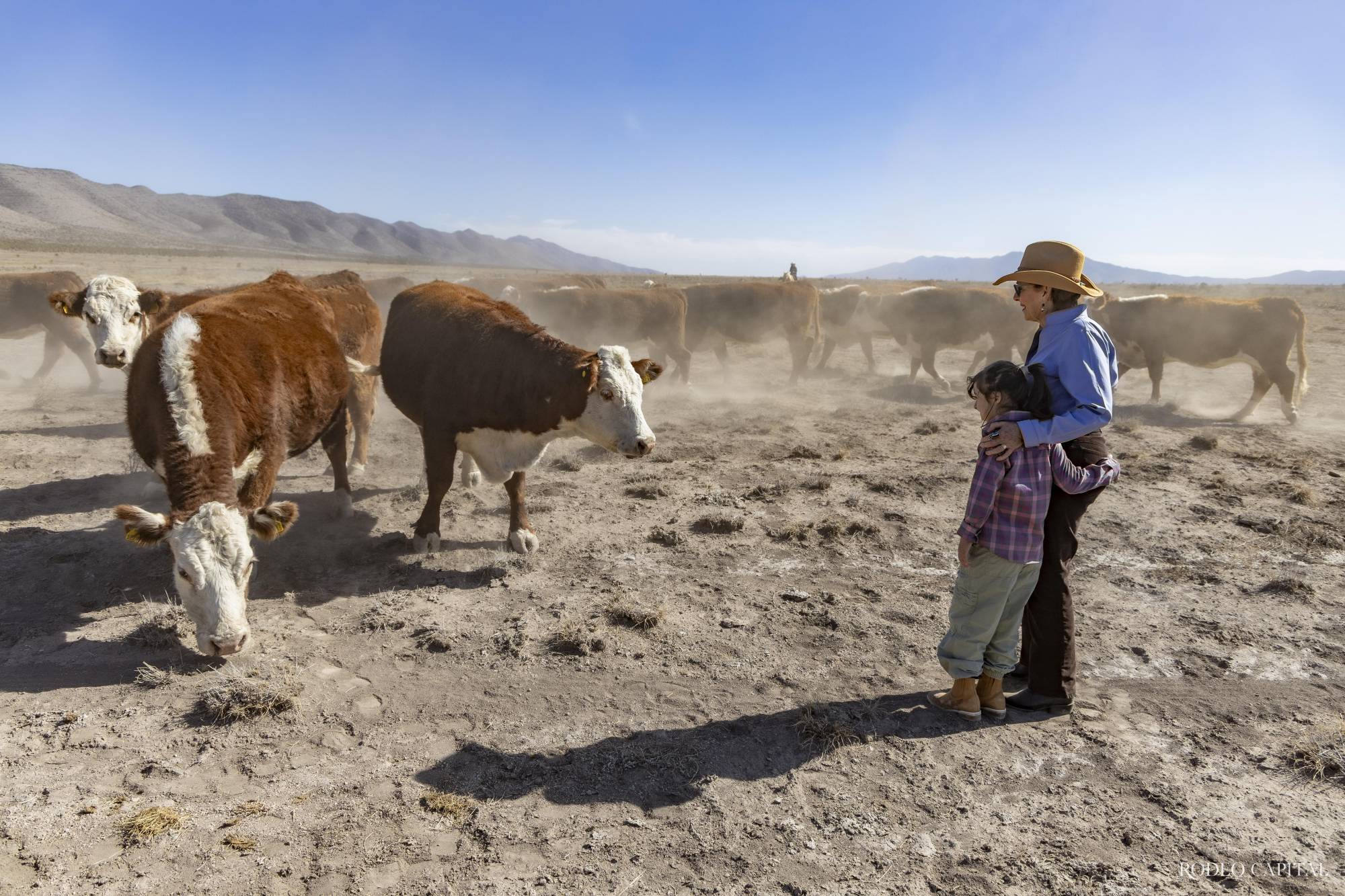 $!Ganadería Cimarrón: Un legado con nombre de mujer