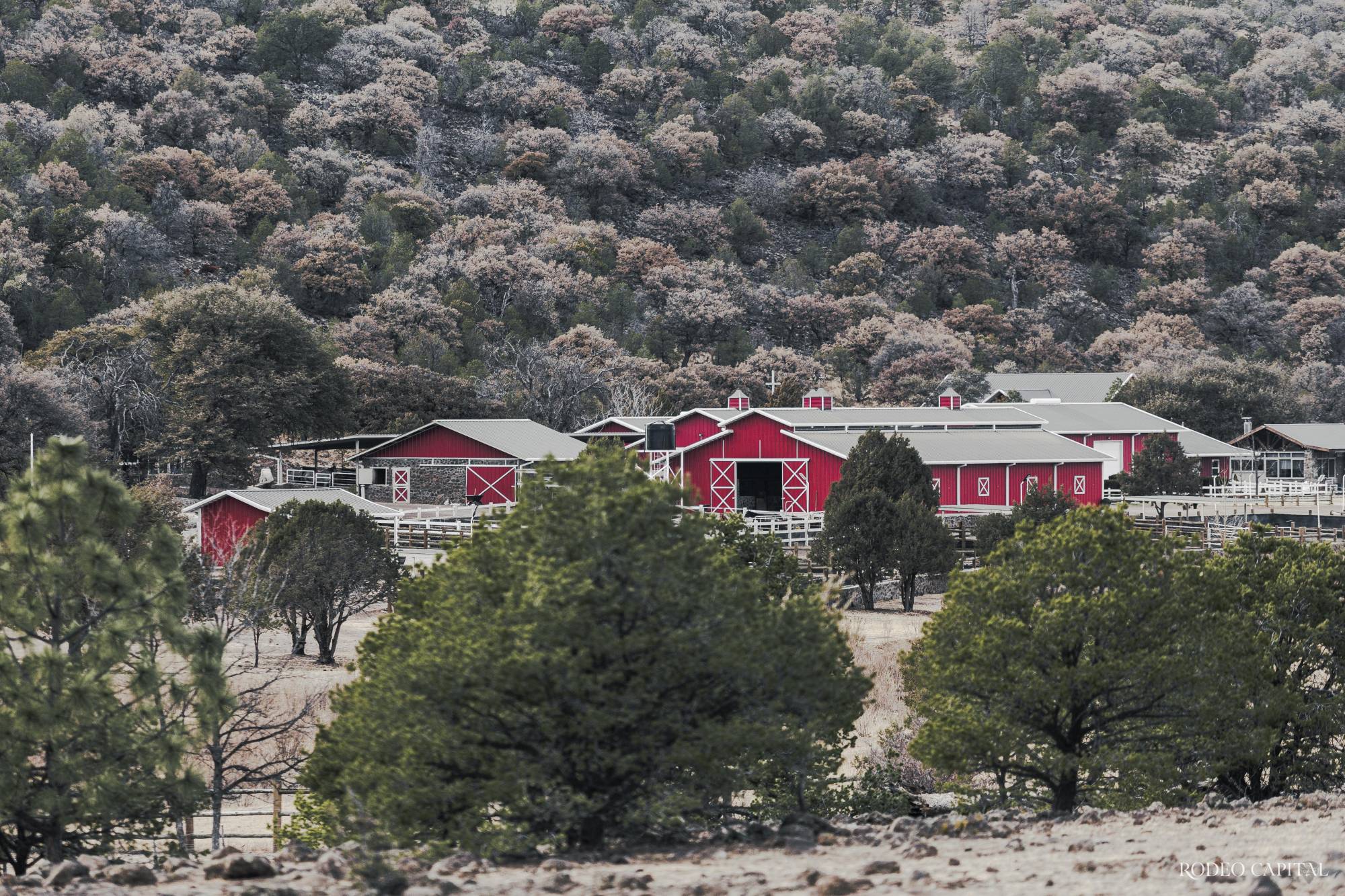 $!Las caballerizas rojas de Las Tunas ya son símbolo de alto rendimiento y excelencia equina.