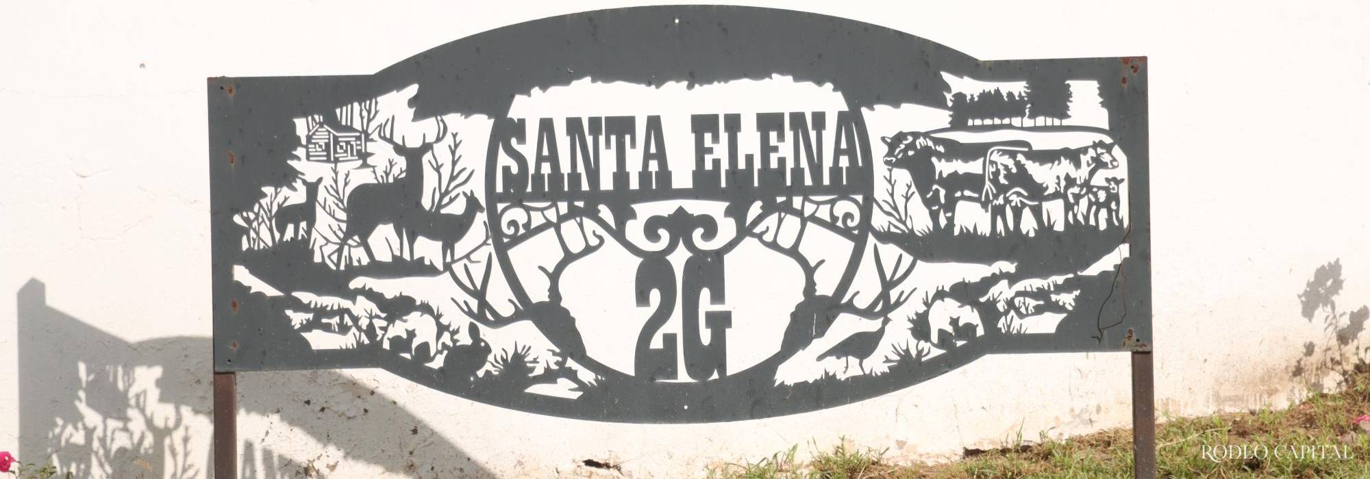 Rancho Santa Elena: producción ganadera de la más alta calidad 