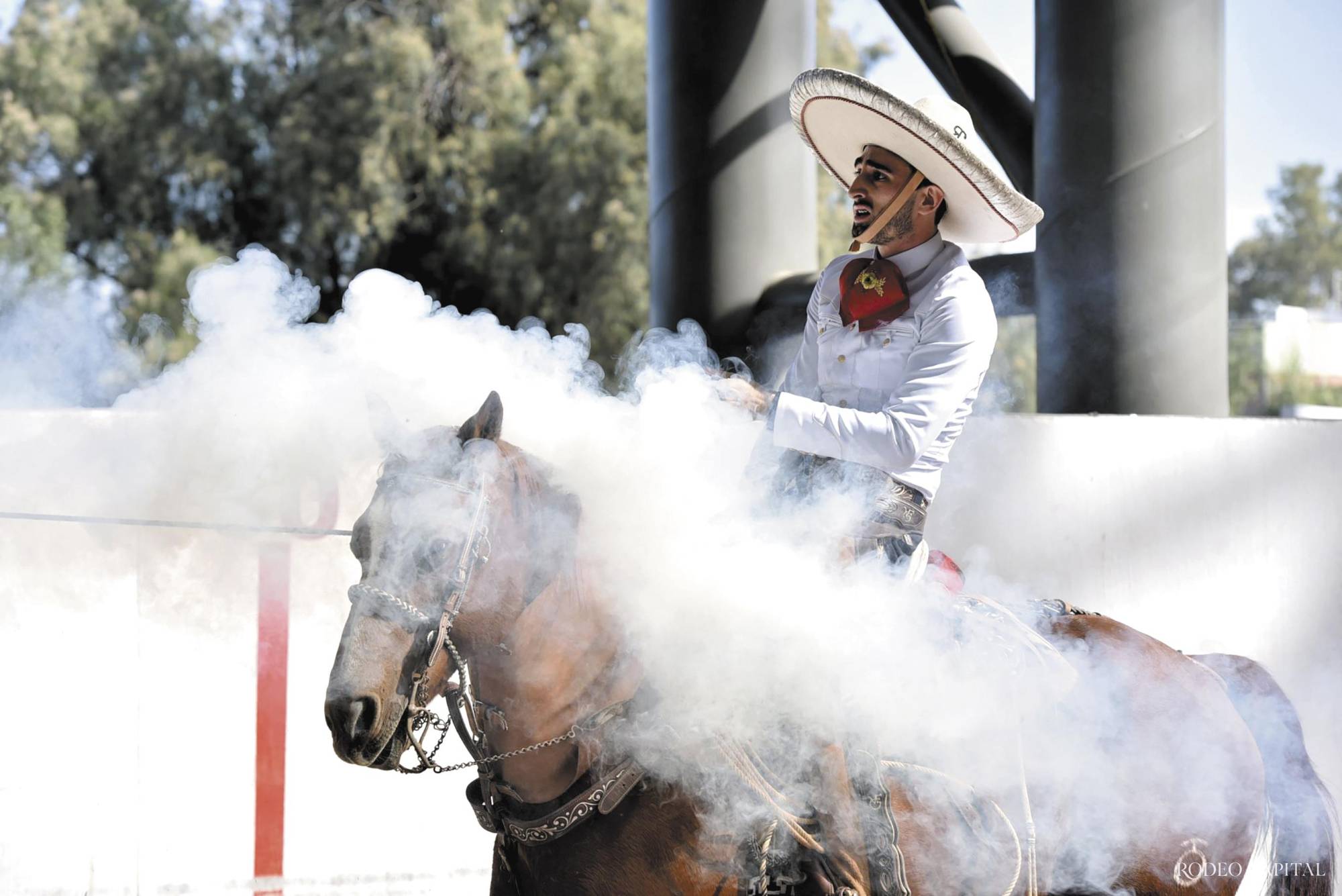 $!En agosto pasado, José Andrés impuso un nuevo récord nacional en la modalidad de Charro completo, al sumar 348 puntos. FOTO: MÉXICO CHARRO
