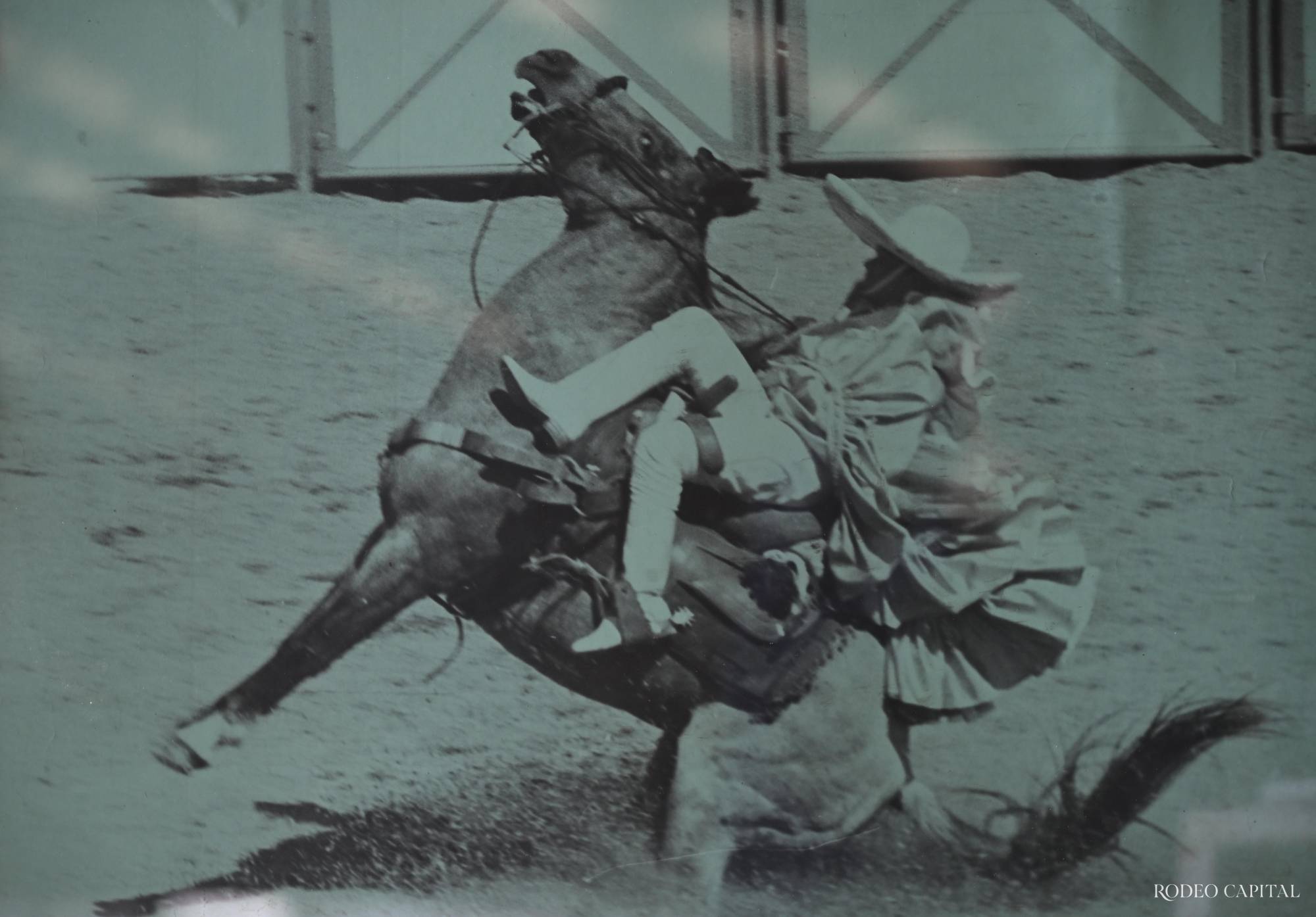 $!Con gran habilidad y destreza, la señora Liliana ejecutando una punta durante un Congreso Nacional Charro.