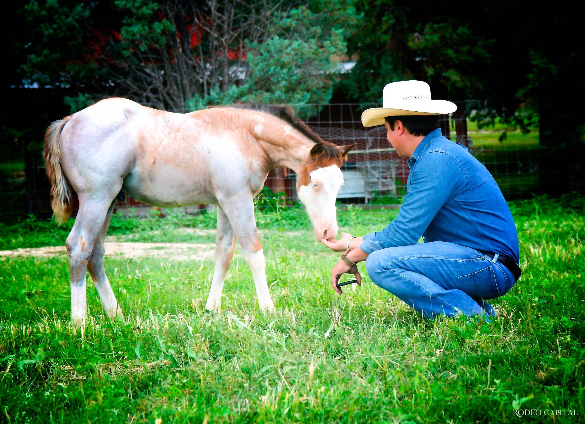 $!Aldo es el criador con más ganancias de la historia con una cifra superior a los 23 millones de pesos. FOTO: CORTESÍA ALDO RAMÓN