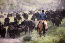 En algunas regiones de México, el 27 de julio se celebra el Día del Vaquero, también en enero hay un fecha para ello, mientras que en EU se celebra el cuarto sábado de julio.