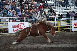 Jinetes de cuatro entidades se enfrentarán en la Arena 8 Segundos este domingo a partir de las 17:00 horas.