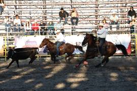 Los mejores jinetes del estado buscarán ser campeones de las Finales Estatales de Rodeo.