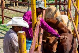 Pulso Ganadero: El precio de sostener un legado