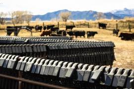 FOTOS: CORTESÍA HALTER E INTERNET