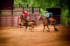 La experiencia acumulada durante años de competencia, hoy Aldo Garibay la convierte en consejos, técnica y disciplina para nuevas generaciones de vaqueros. FOTOS: CORTESÍA ALDO GARIBAY