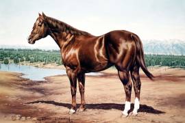 Imagen de Skipper W tomada de la American Quarter Horse Association.