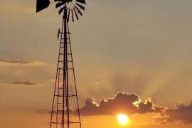 “El rancho exige disciplina diaria. Y esa disciplina termina convirtiéndose en una forma de vida”. Antonio Neira