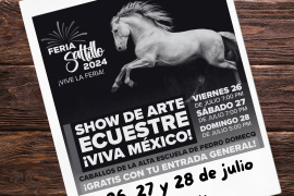 Show de Arte Ecuestre