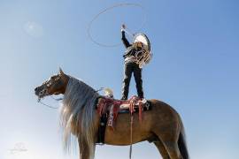 Caballos Leyenda: Latigo Dun It, el equino que conquistó escenarios y aparadores