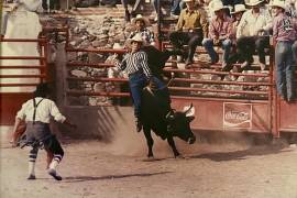 Paco Galindo se aferra al lomo del toro con el cuerpo en tensión perfecta, mientras la tribuna observa en vilo. Lo que para muchos es espectáculo, para él era destino.