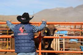 Diego “Eddie” Oyervides y su equipo han convertido a La Herradura en una de las ganaderías más importantes del rodeo mexicano.