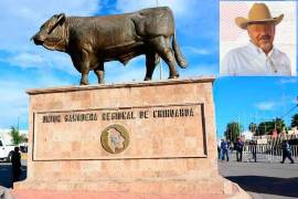 FOTOS: REDES SOCIALES