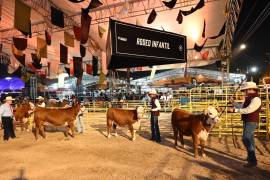 Ejemplares de alta genética desfilan en la pista de calificación del nuevo complejo Expo Coahuila durante el Rodeo Saltillo 2026. FOTOS: OMAR SAUCEDO