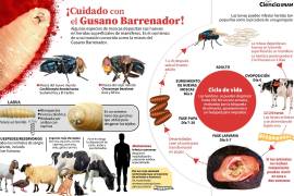 GRÁFICO: CIENCIA UNAM