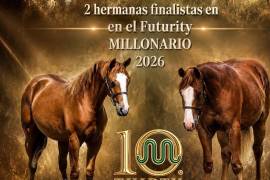 Los ejemplares de Caballos La Paloma ganaron cuarto y quinto lugar en el Caladero Futurity 2026, una de las mejores competencias de élite ecuestre en el país.