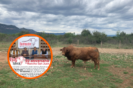 Rancho San Juan celebrará su 50 aniversario con subasta y festejo en El Regalo