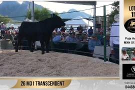 Los compradores pagaron entre 140 mil y 500 mil pesos por los ejemplares subastados en el Rancho Santa Elena, de Castaños.