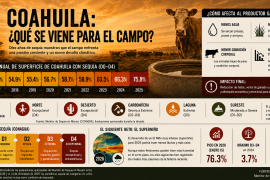 ‘Súper niño’: El desafío climático que amenaza a Coahuila