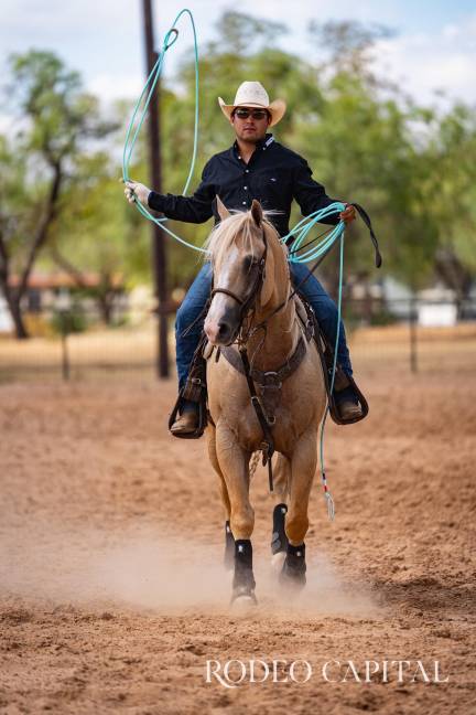 $!Uno de los caballos que entrenó, llamado Snoopy, será montado en el NFR (National Finals Rodeo) en Las Vegas.