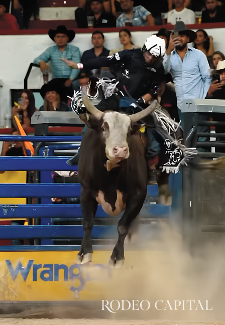$!Ruvalcaba ha vencido dos veces al legendario toro Cat Bird, de la ganadería La Herradura.