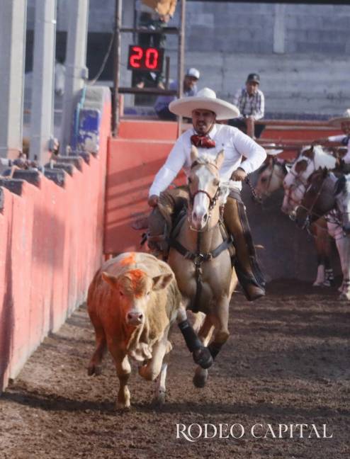 $!El coleadero se llevó a cabo en el Lienzo Charro Hacienda La Purísima.