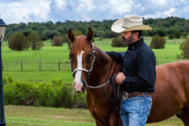 Las Tunas: el rancho mexicano con la mejor remuda AQHA
