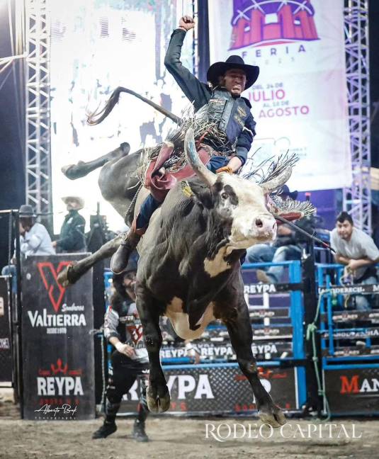 $!Cat Bird es sinónimo de espectáculo y dificultad máxima.