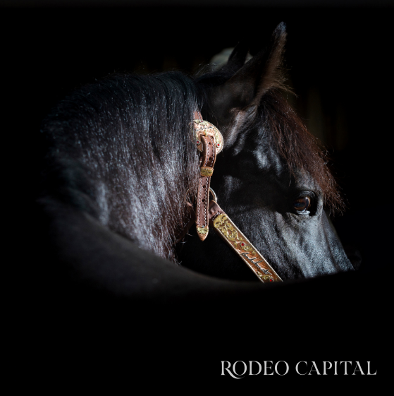 $!Las Tunas: el rancho mexicano con la mejor remuda AQHA