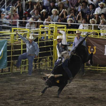 El rodeo podría ser considerado en Coahuila como Patrimonio Cultural Intangible, luego de una iniciativa presentada en el Congreso del Estado.