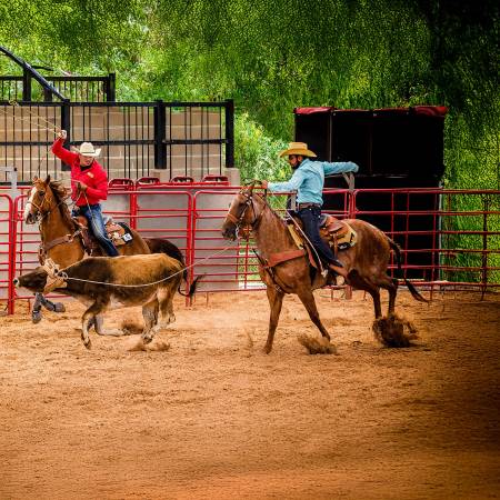 La experiencia acumulada durante años de competencia, hoy Aldo Garibay la convierte en consejos, técnica y disciplina para nuevas generaciones de vaqueros. FOTOS: CORTESÍA ALDO GARIBAY