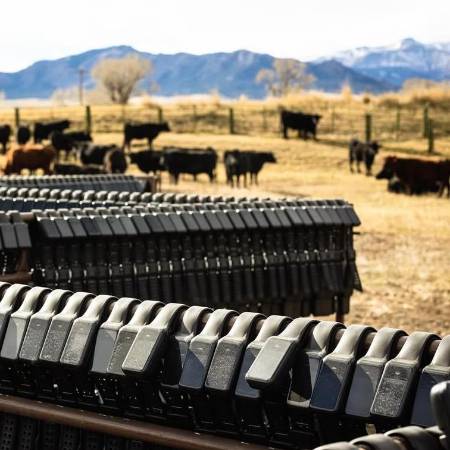 FOTOS: CORTESÍA HALTER E INTERNET