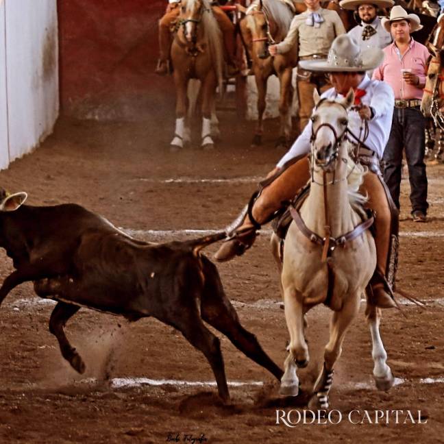 $!Con Rompope, su caballo palomino, Daniel avanza en su camino en el mundo charro.
