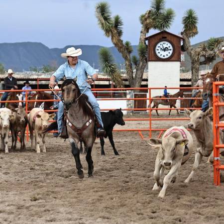 Los competidores pusieron a prueba su destreza en el manejo del caballo y del ganado en esta competencia realizada en Brío Natural.