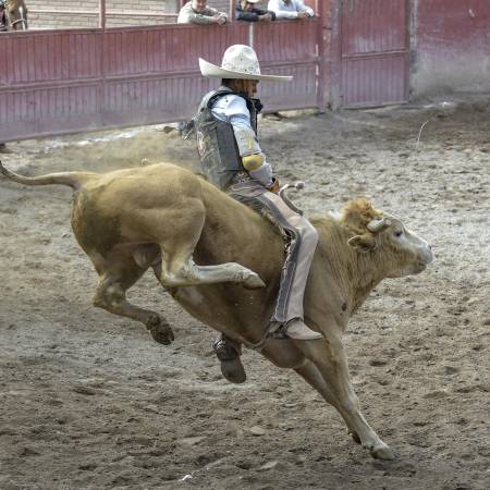 En el Lienzo Charro El Cortijo se realizó el Campeonato Charro Guadalupano que ofreció tres días de emociones con cada suerte.