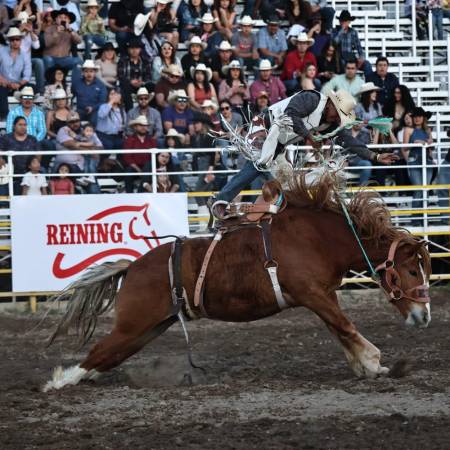 Jinetes de cuatro entidades se enfrentarán en la Arena 8 Segundos este domingo a partir de las 17:00 horas.