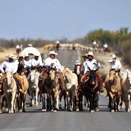 FOTOS: HÉCTOR GARCÍA