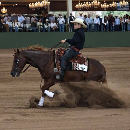 Caballos La Paloma pone a Coahuila en el mapa del reining nacional