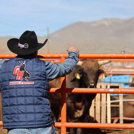 Diego “Eddie” Oyervides y su equipo han convertido a La Herradura en una de las ganaderías más importantes del rodeo mexicano.