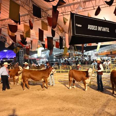Ejemplares de alta genética desfilan en la pista de calificación del nuevo complejo Expo Coahuila durante el Rodeo Saltillo 2026. FOTOS: OMAR SAUCEDO