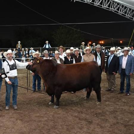 En el evento se destacó la contribución de la genética Angus al desarrollo del sector ganadero. FOTOS: OMAR SAUCEDO
