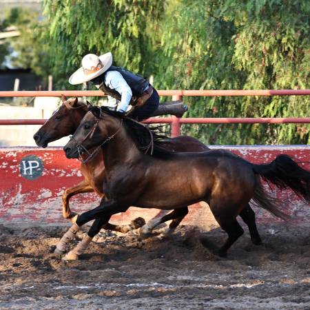 Los charros de la región festejaron su día en un ambiente de fiesta y competencia.