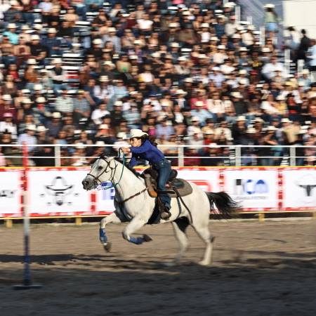 La Arena 8 Segundos fue el escenario donde competidores de cuatro estados pelearon por su pase a la gran final que se realizará en Chihuahua.