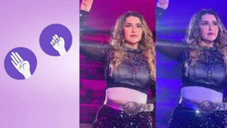 Villarreal habría escapado de su aún esposo para pedir ayuda y ser auxiliada, aunque más tarde se presentó en un concierto en Michoacán.