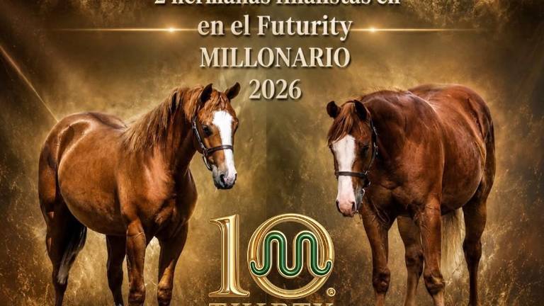 Los ejemplares de Caballos La Paloma ganaron cuarto y quinto lugar en el Caladero Futurity 2026, una de las mejores competencias de élite ecuestre en el país.