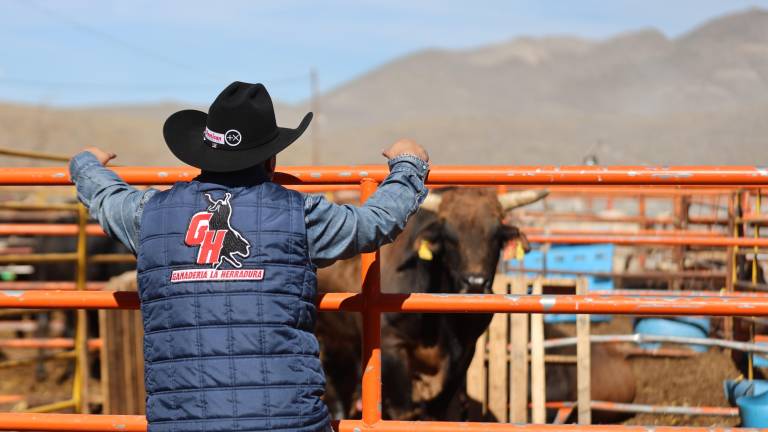 Diego “Eddie” Oyervides y su equipo han convertido a La Herradura en una de las ganaderías más importantes del rodeo mexicano.