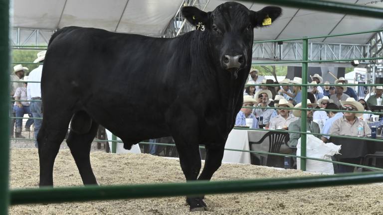 La segunda subasta del Rancho Santa Elena permitió el intercambio comerciales entre ganaderos de Coahuila y otras entidades.
