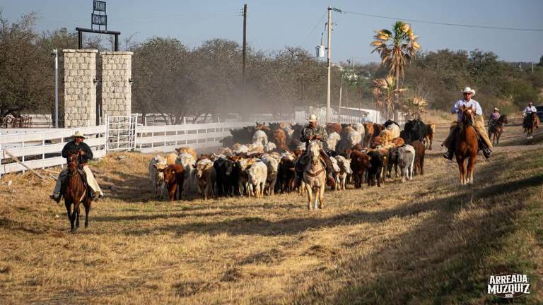 La Arreada de Múzquiz representa dos días para honrar la tradición, la ganadería y el orgullo de pertenecer a estas tierras del norte de Coahuila.
